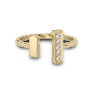 Sleek Shine Ring